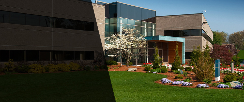 Maud Landscapers