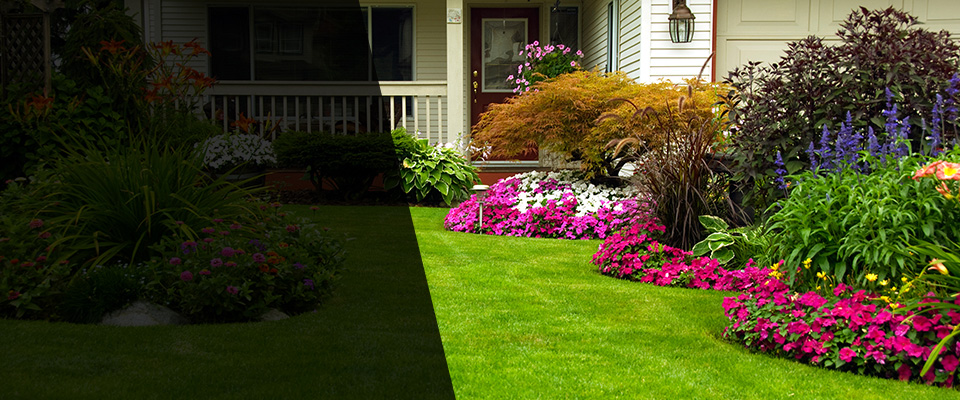 Maud Landscapers